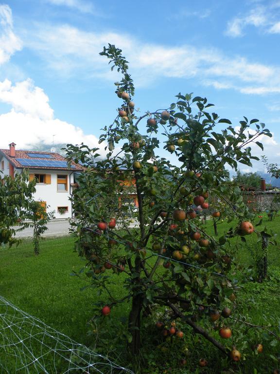 Agriturismo Al Bachero Belluno Exterior photo
