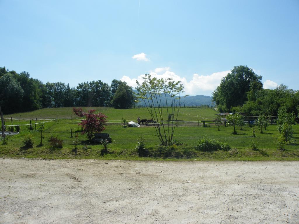 Agriturismo Al Bachero Belluno Exterior photo